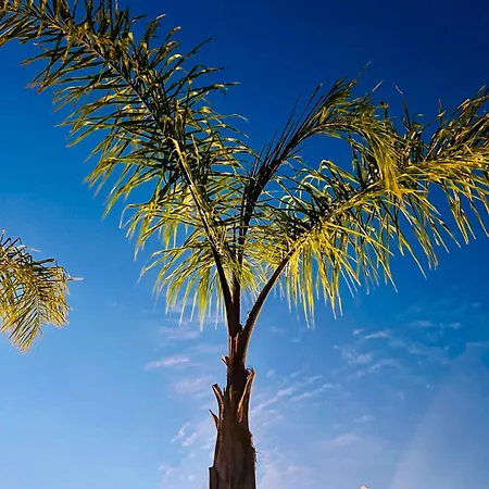 Hébergement de vacances Lourença - Quinta Lourenca *