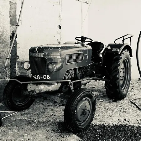 Hébergement de vacances Lourença - Quinta Lourenca