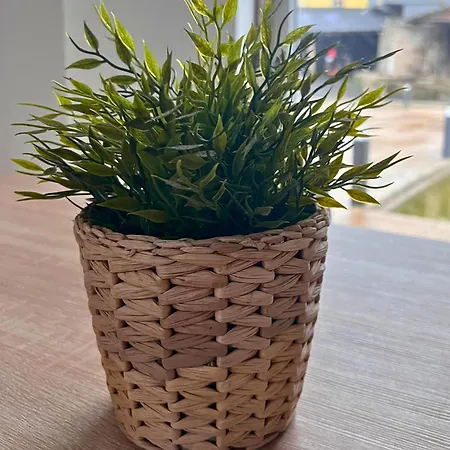 Lourença - Quinta Lourenca Vilar (Porto)