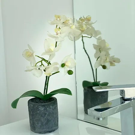 Hébergement de vacances Lourença - Quinta Lourenca