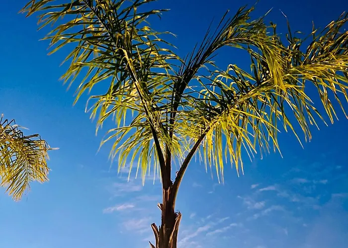 בית נופש Lourenca - Quinta Lourenca *