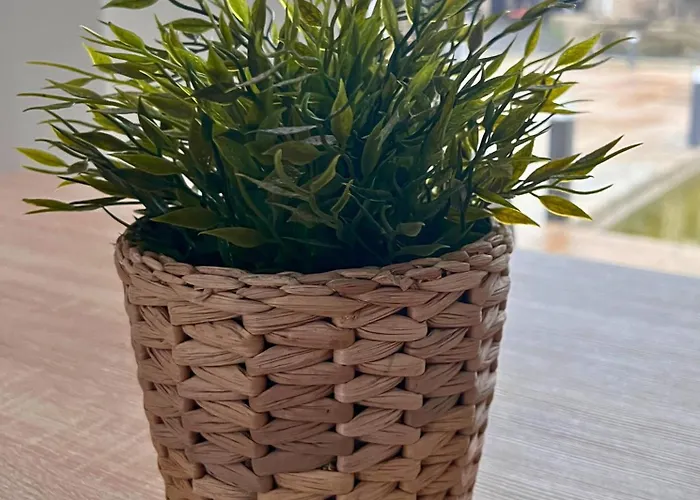 Lourenca - Quinta Lourenca Vilar (Porto)