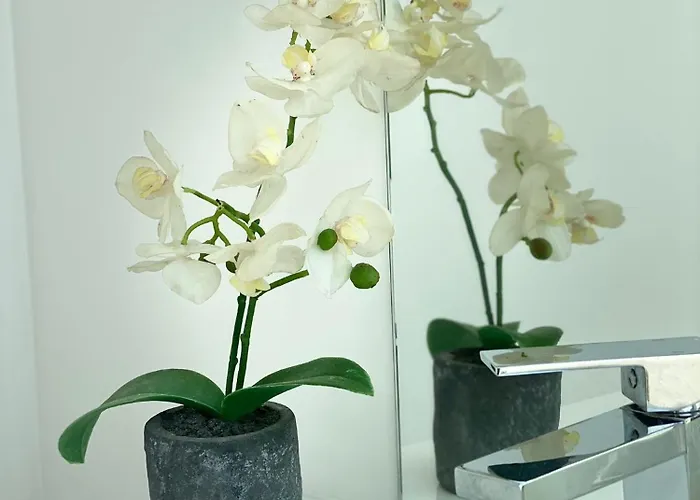 בית נופש Lourenca - Quinta Lourenca