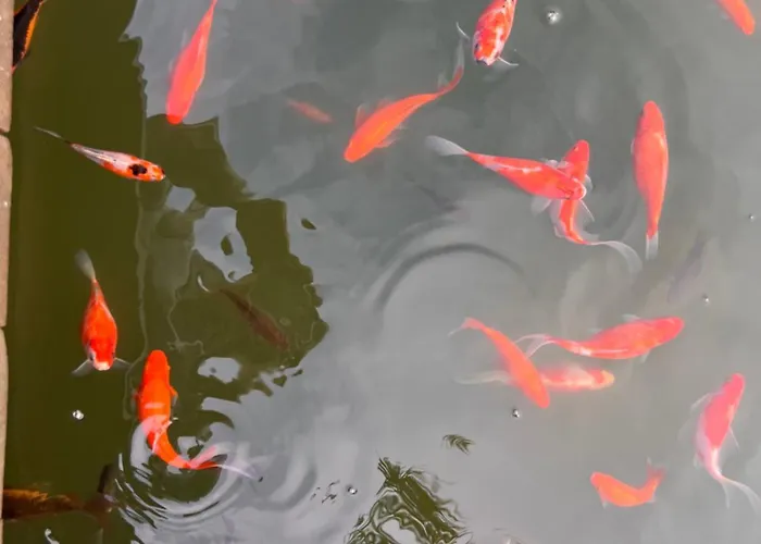 Lourenca - Quinta Lourenca בית נופש Vilar (Porto)